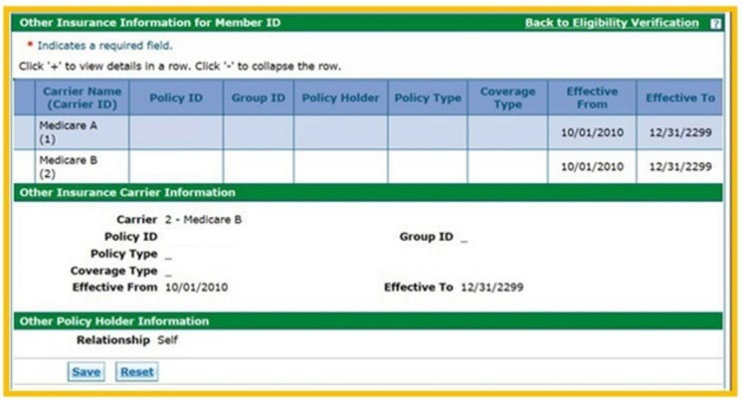 Other Insurance Detail Information result with carrier rows and expandable carrier and policy-holder information; blank sample identifiers.