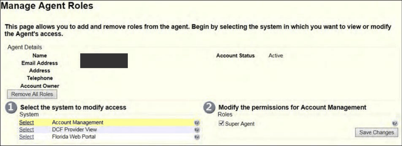 Manage Agent Roles: covered name and email, system selector with Account Management selected, Super Agent checkbox checked and Save Changes.