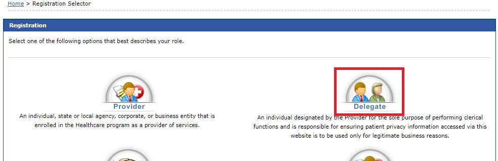 Registration Selector with Provider and Delegate choices; Delegate is outlined in red.