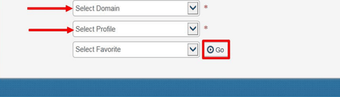 CHAMPS: select the billing provider’s Domain and assigned Profile, then Go