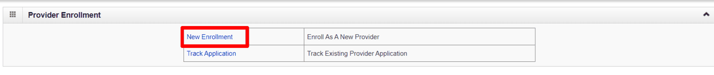 Provider Enrollment: select New Enrollment for a new provider, or Track Application for an existing application