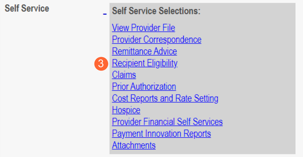 PNM Self Service Selections with Recipient Eligibility among the provider links.