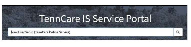 TennCare IS Service Portal search bar showing New User Setup for TennCare Online Services
